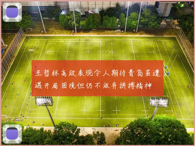 王哲林高效表现令人期待青岛虽遭遇开局困境但仍不放弃拼搏精神