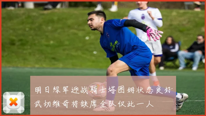 明日绿军迎战骑士塔图姆状态良好武切维奇将缺席全队仅此一人