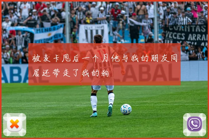 被麦卡甩后一个月他与我的朋友同居还带走了我的狗