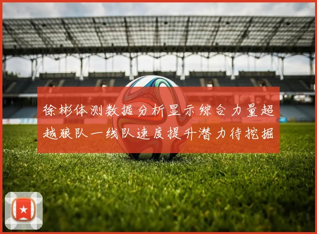 徐彬体测数据分析显示综合力量超越狼队一线队速度提升潜力待挖掘
