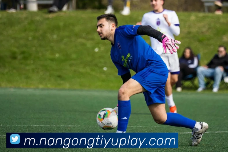 南宫体育平台生态图